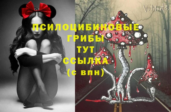 герыч Богородицк