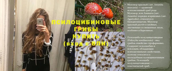 a pvp Беломорск