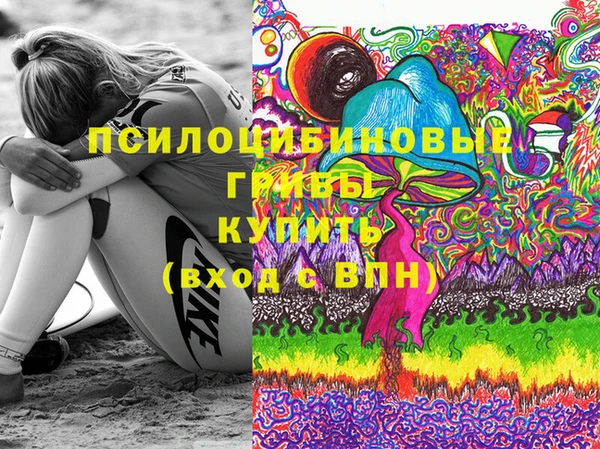 ГАЛЛЮЦИНОГЕННЫЕ ГРИБЫ Белокуриха