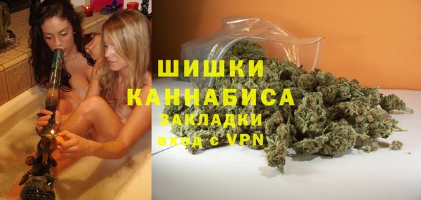 ГАЛЛЮЦИНОГЕННЫЕ ГРИБЫ Белокуриха