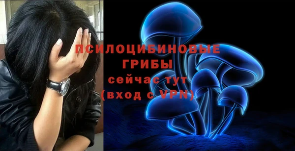 ешки Новокубанск
