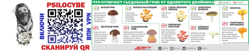 Псилоцибиновые грибы MAGIC MUSHROOMS  как найти наркотики  ссылка на мегу ССЫЛКА  Емва 